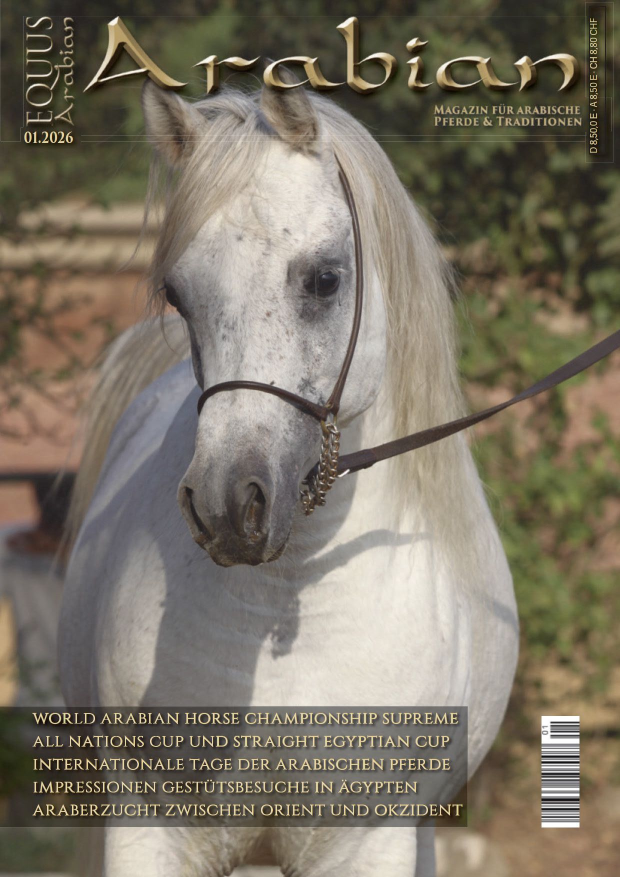 Equus Arabian Titel